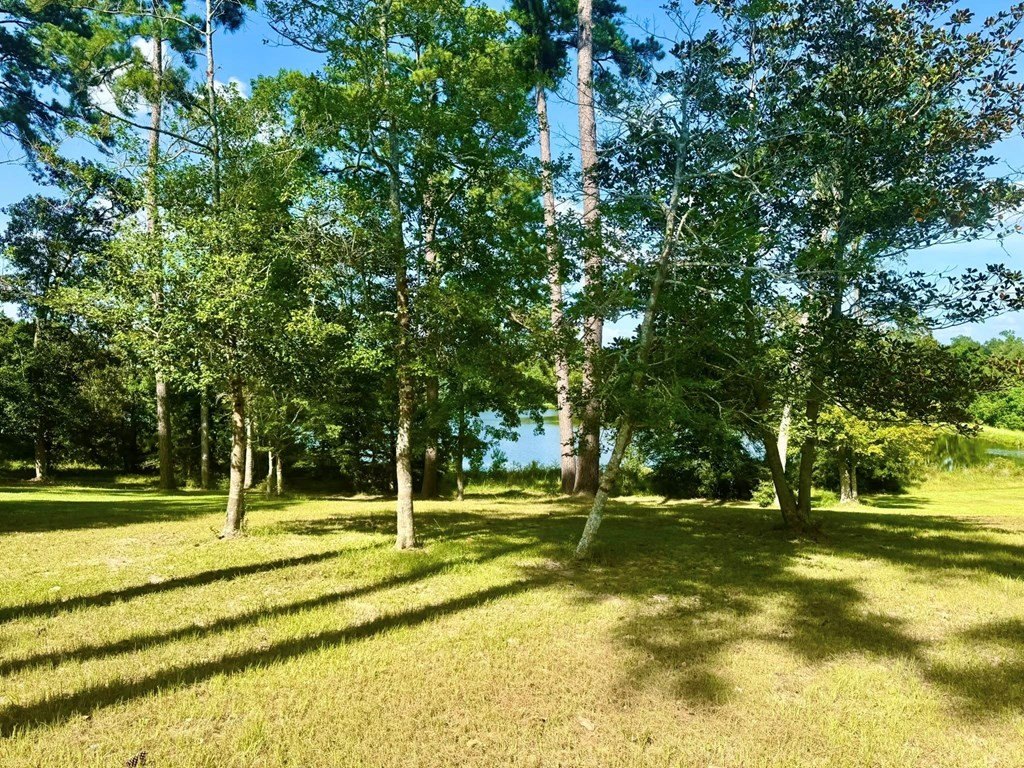 Picture 7