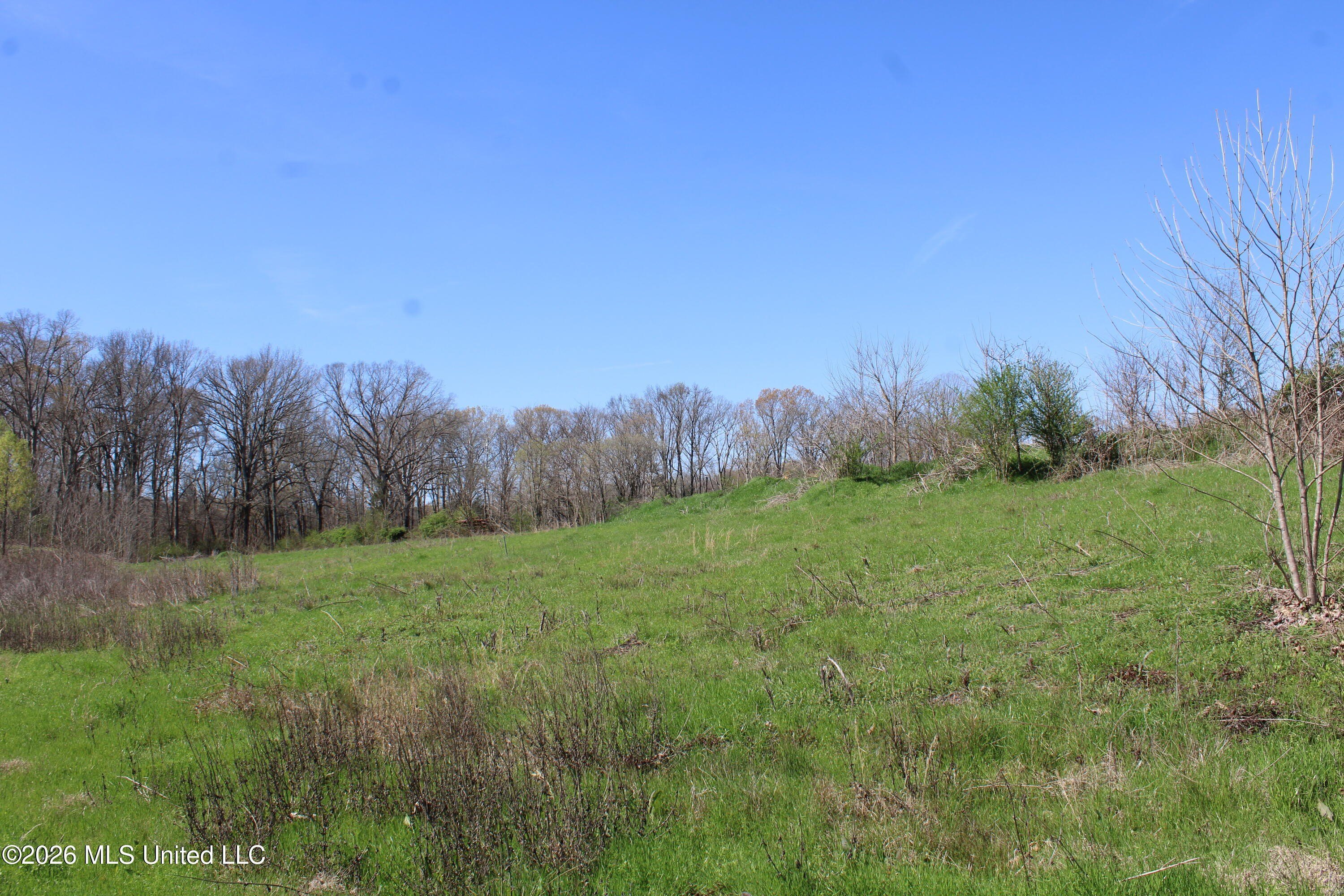 Residential Lot in Olive Branch