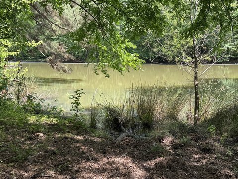 Recreational Hunting Land with Pond