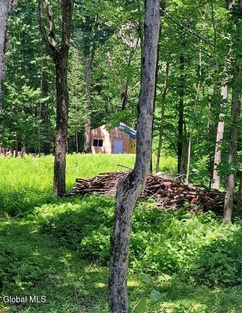 Picture 3