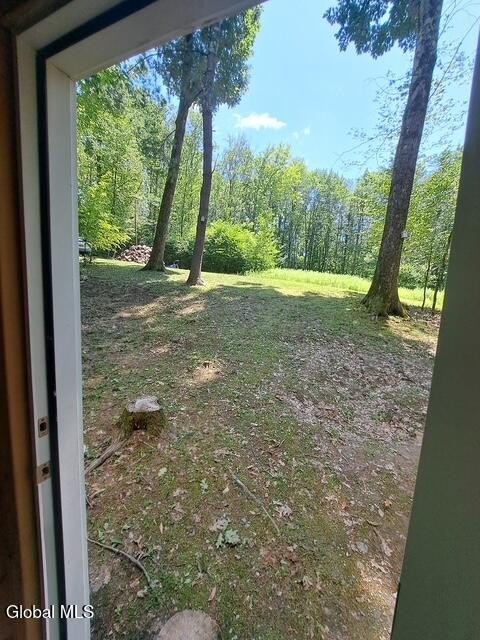 Picture 5