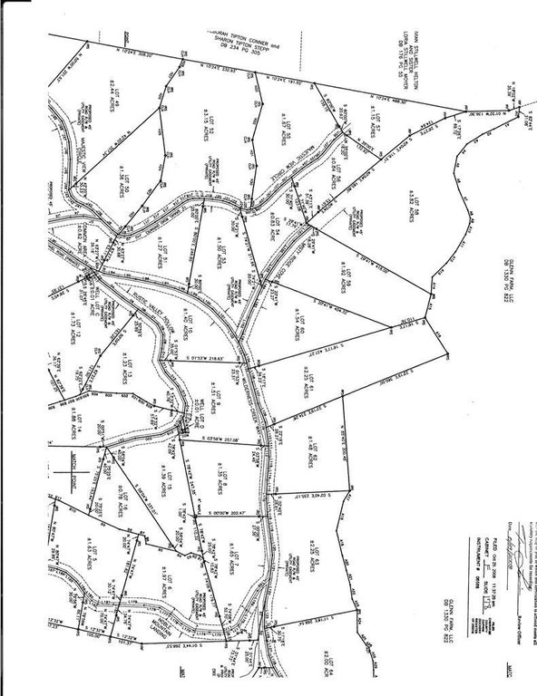 Picture 3