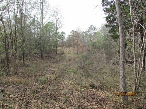 LAND - LaRue, TX