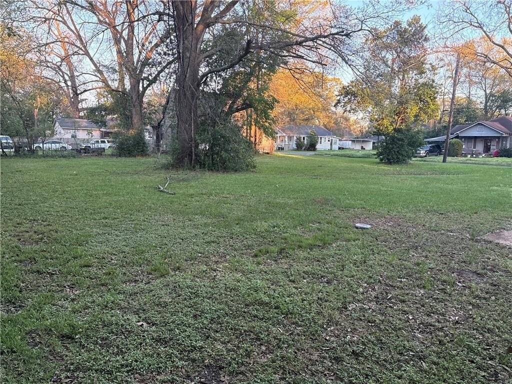 Picture 5