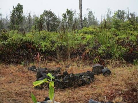 Cleared Residential Building Site Land