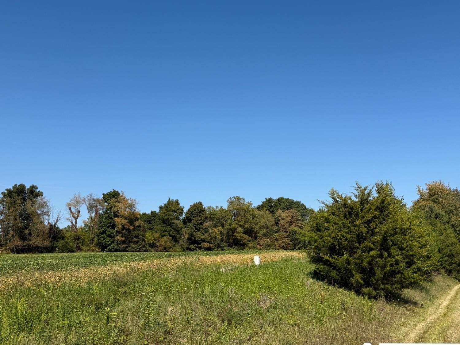 Land Near Brookville Lake