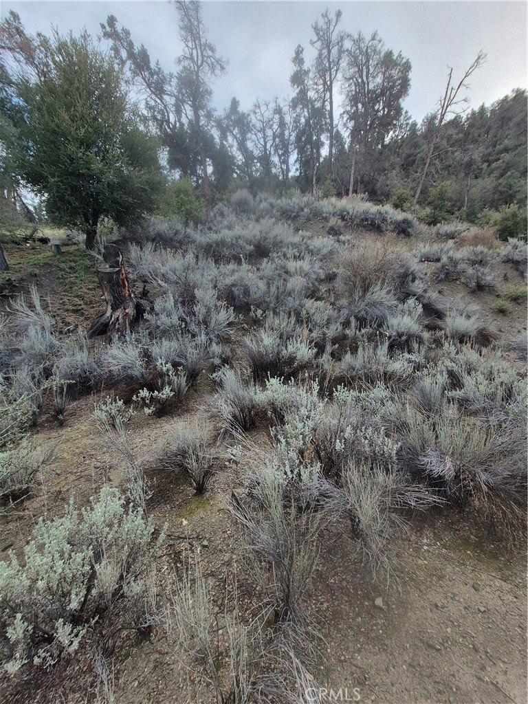 Half Acre Flag Lot