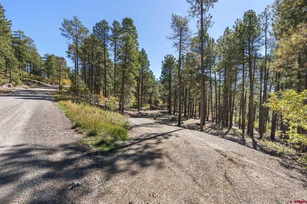 Picture 10