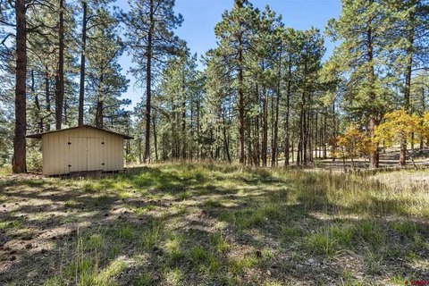 Land in Bayfield, Colorado