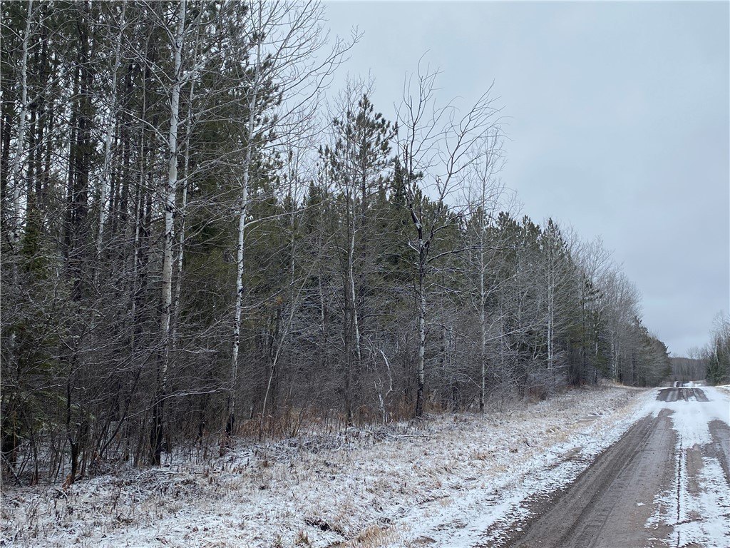 Forested Land Parcel in Port Wing
