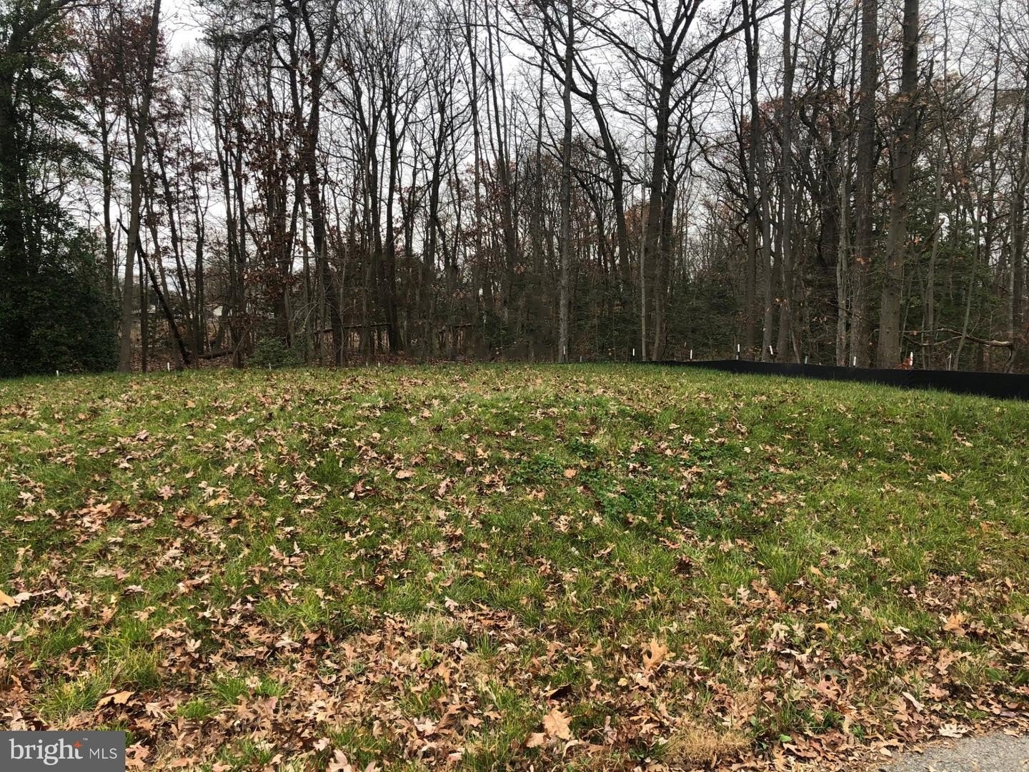 Waterfront Lot on Muddy Gut
