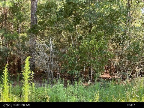 Residential Land in Tifton, GA