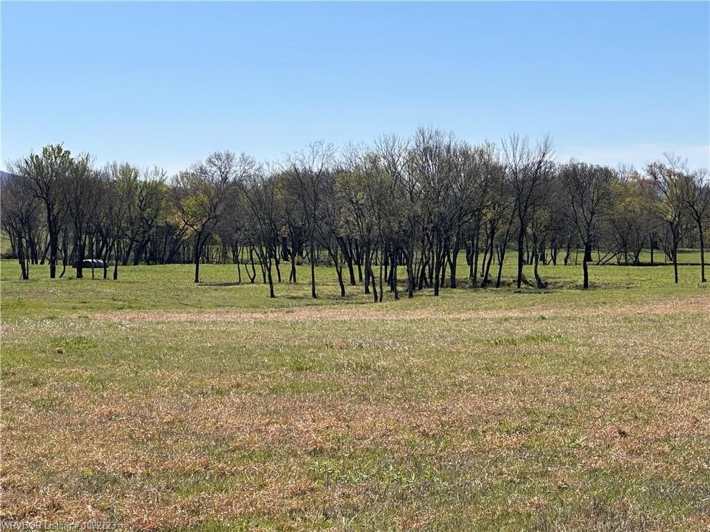 Picture 9