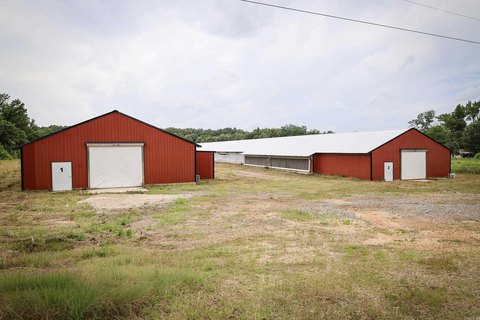 Poultry Breeder Farm With Generator