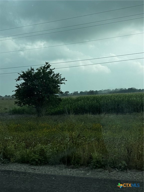 Picture 3