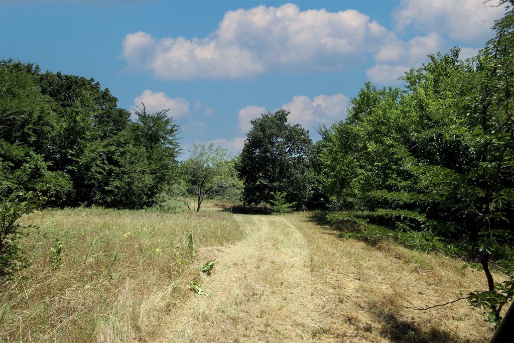 Picture 11