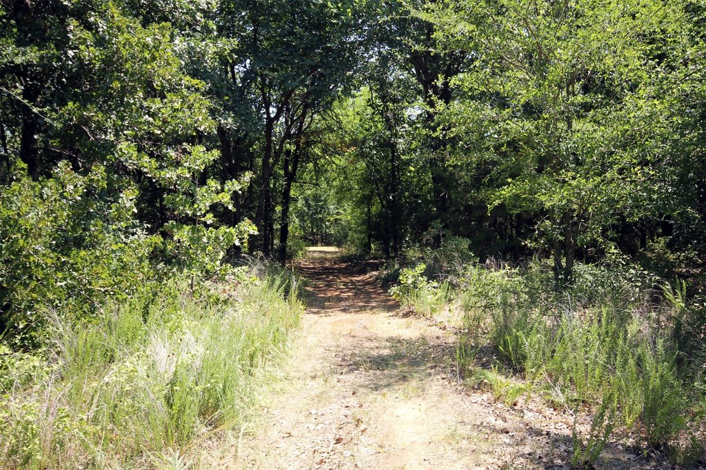 Picture 9