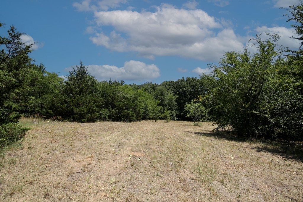 Picture 7