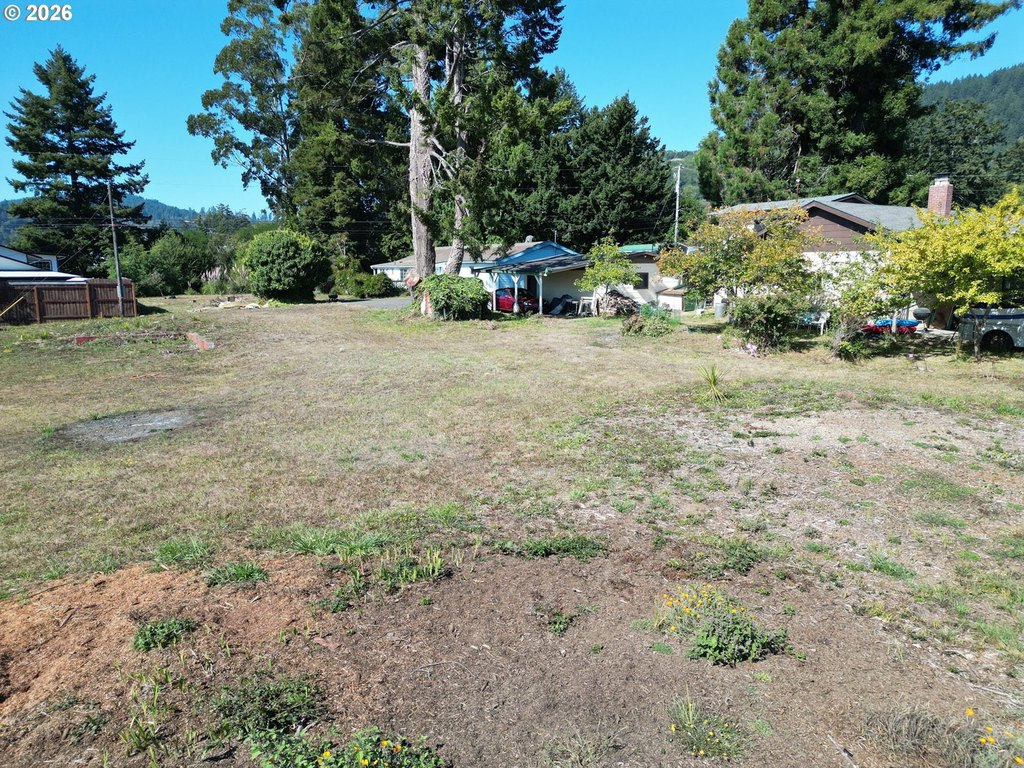 Picture 15