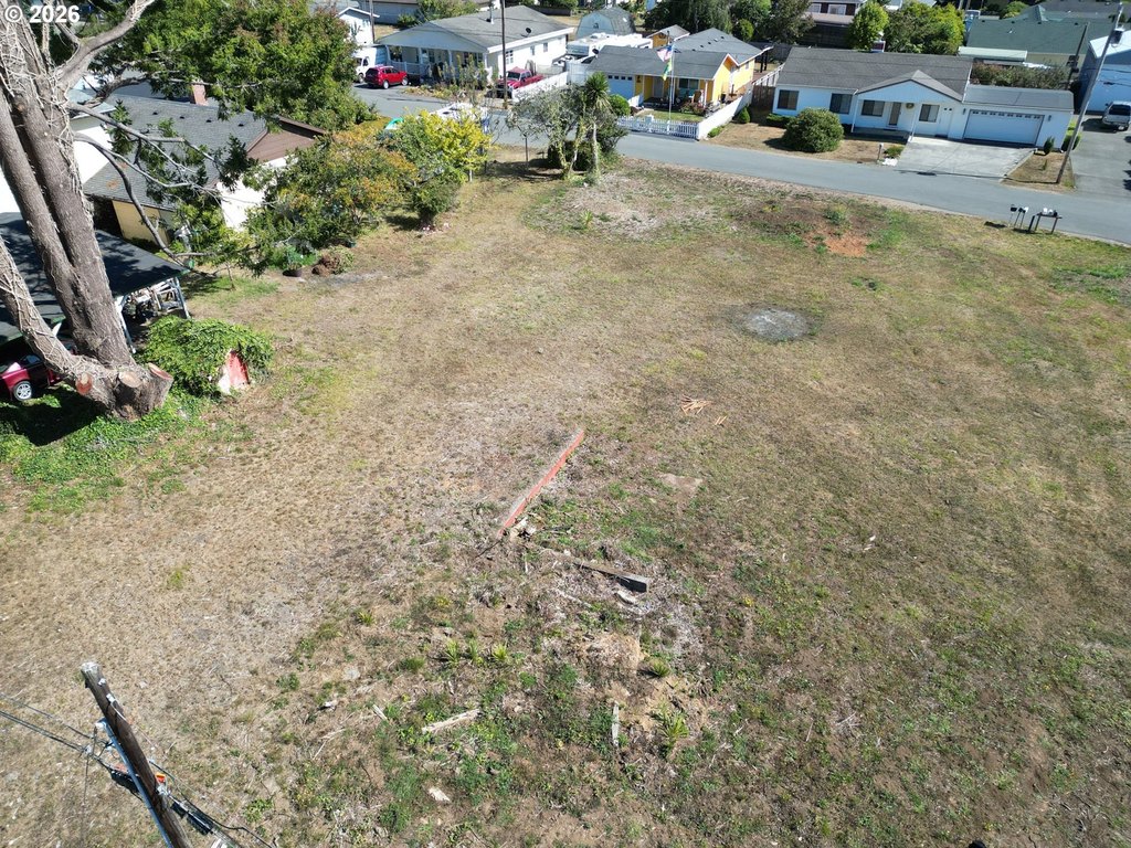 Picture 14