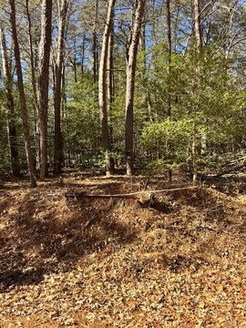 Waterfront Land with River Access