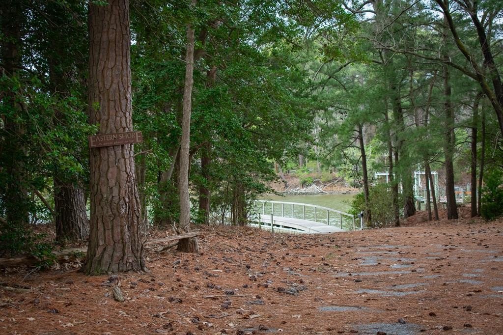 Picture 4