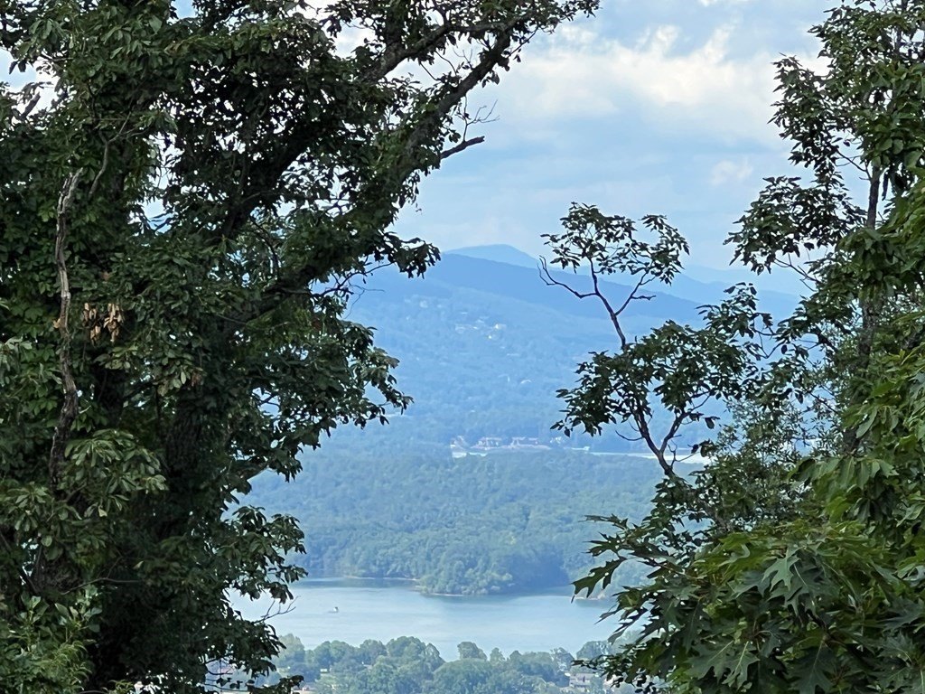 Picture 45