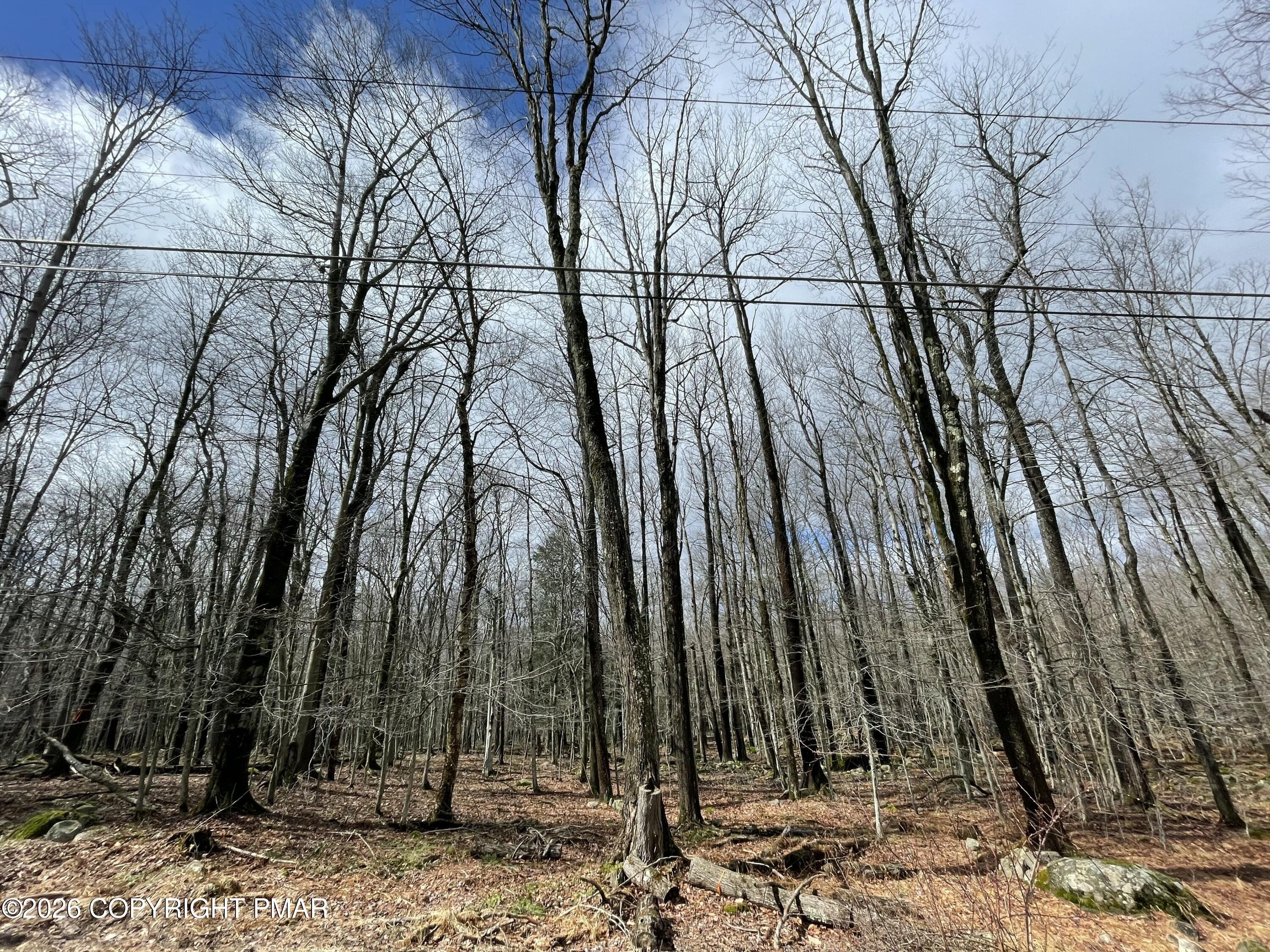 Pocono Spring Estates Wooded Lot