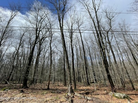 Land, Gouldsboro, PA