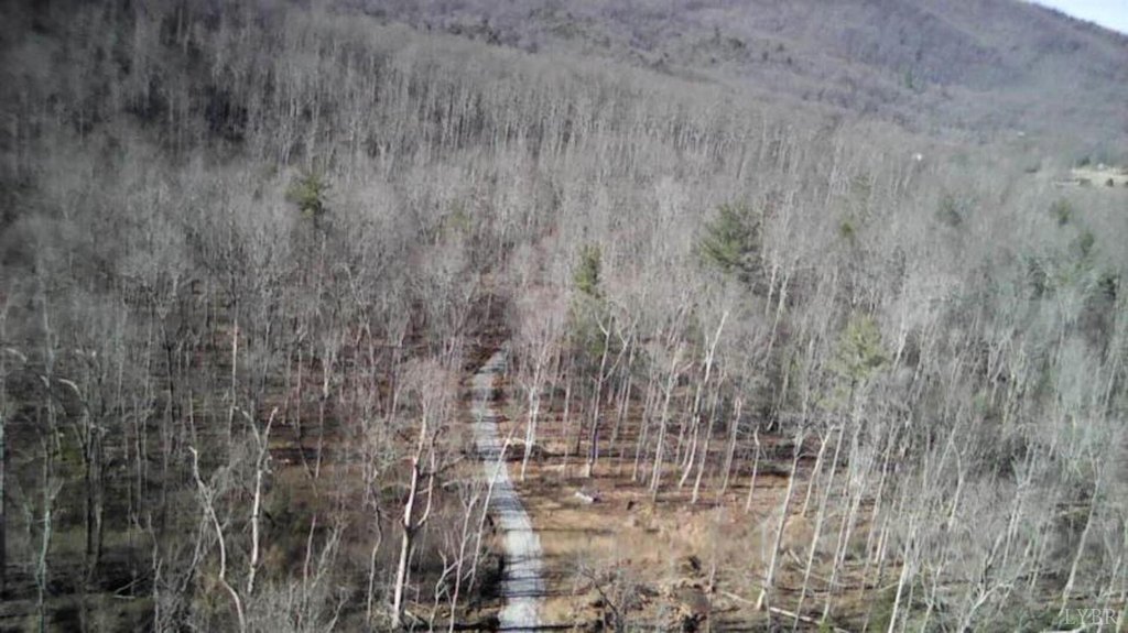 Picture 3