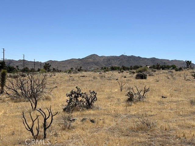 Picture 5