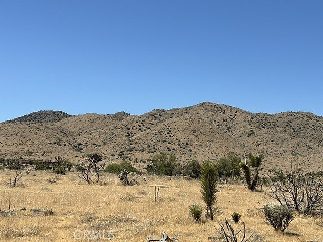 Picture 8