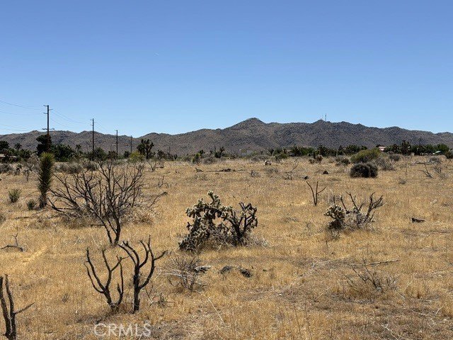 Picture 6