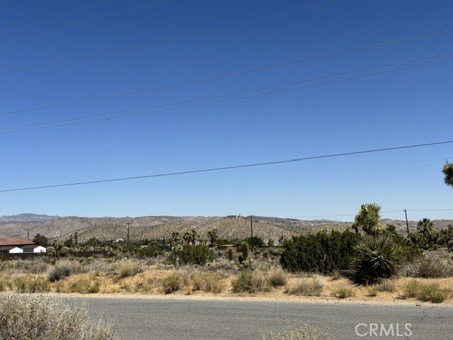 Picture 11