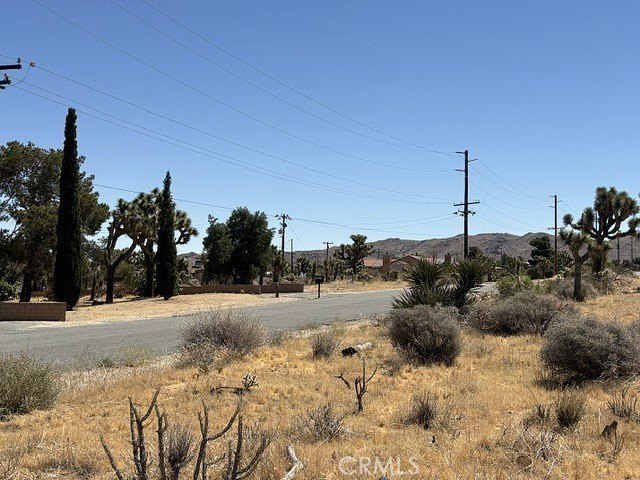 Picture 9