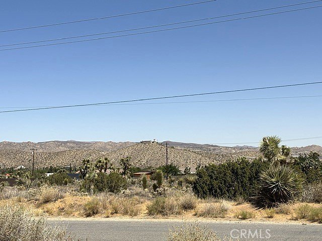 Picture 10