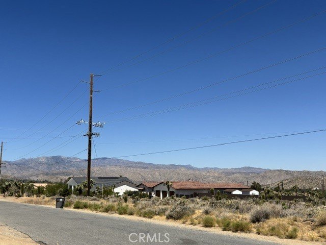 Picture 12