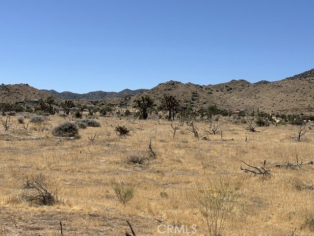 Picture 7
