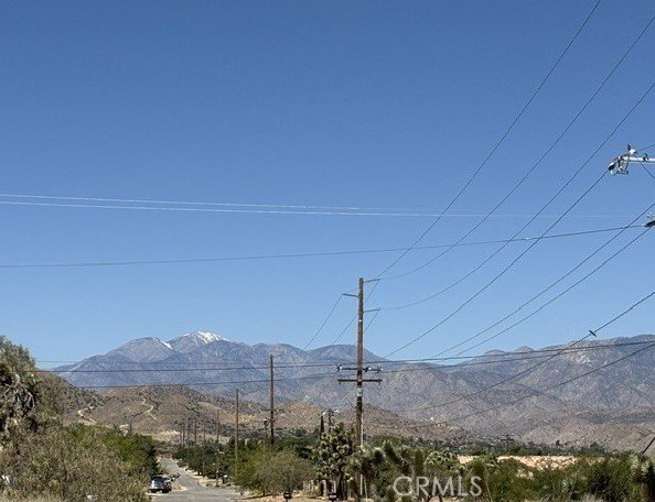 Picture 13