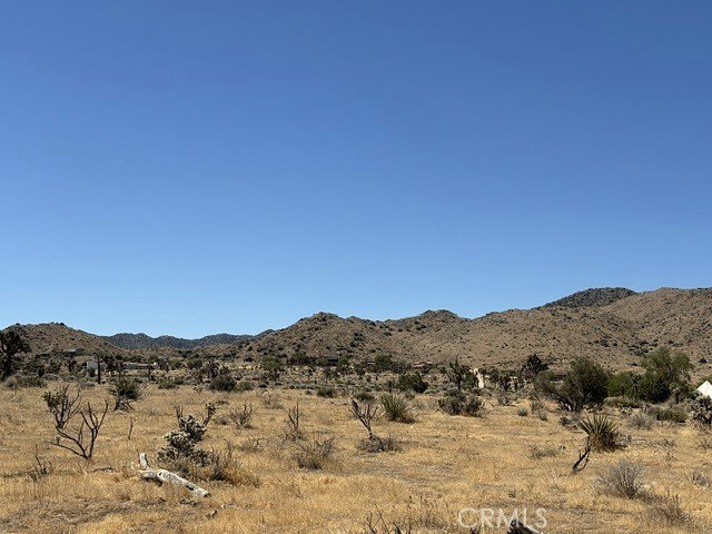Picture 3