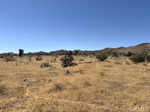 Yucca Valley Land with Views