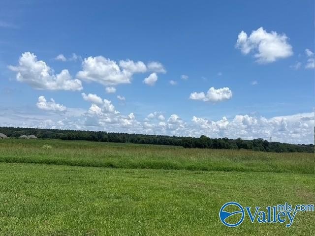23.75 Acres in Toney, AL
