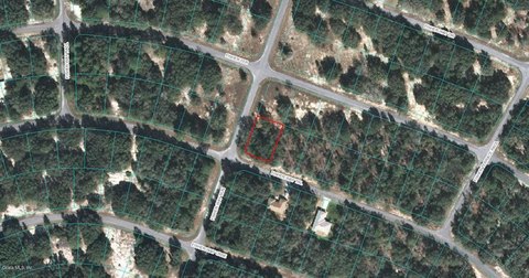 Land For Sale in Ocklawaha