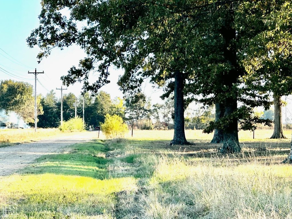 Picture 16