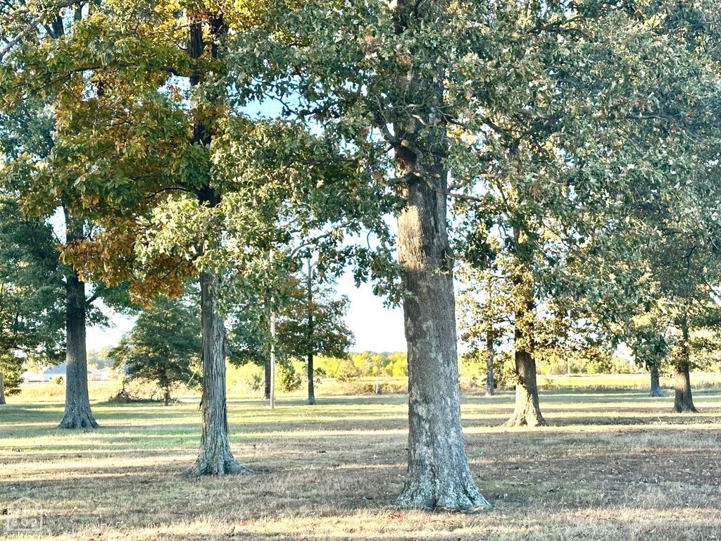Picture 12