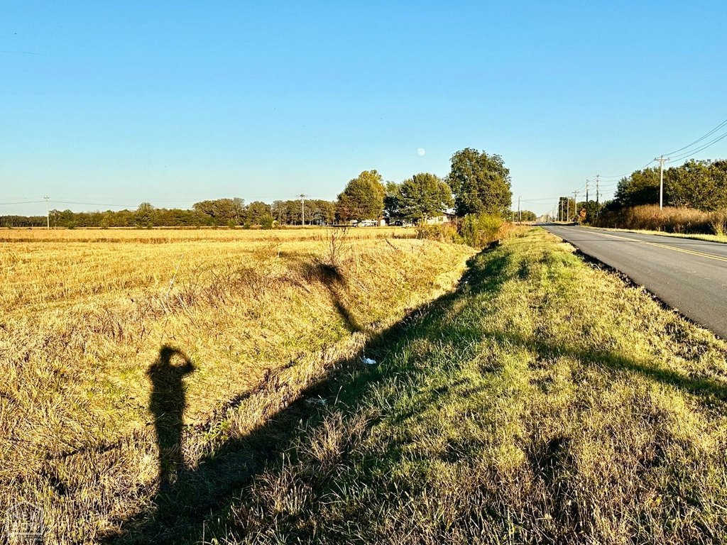 Picture 24