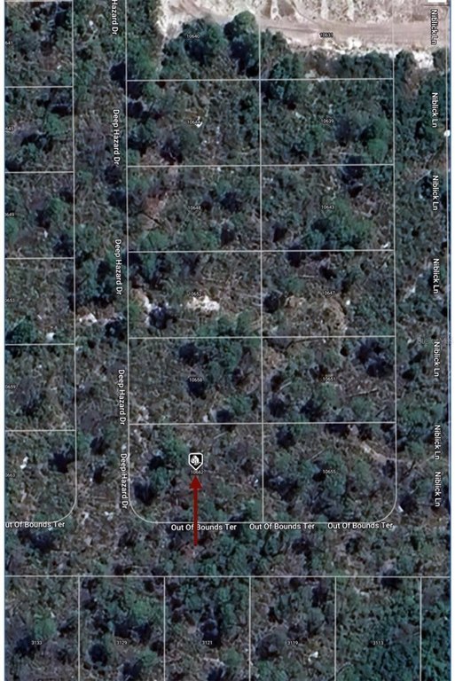 Picture 8