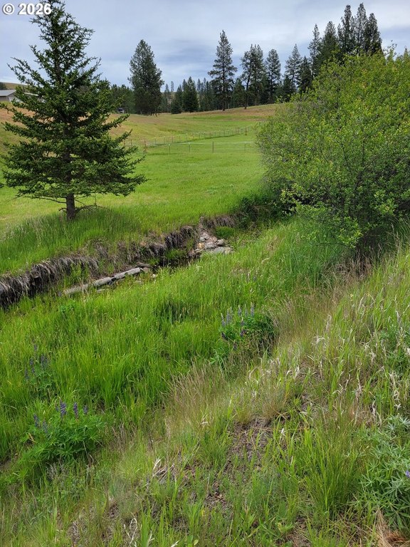Picture 13