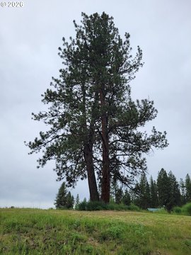 LAND - Starkey, OR
