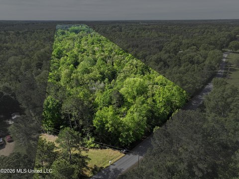 Timber Hunting Tract with Homesites